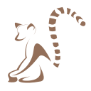 Lemur icon for Smart as a Lemur