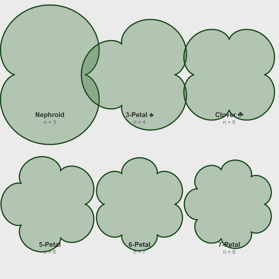 Epicycloid Family