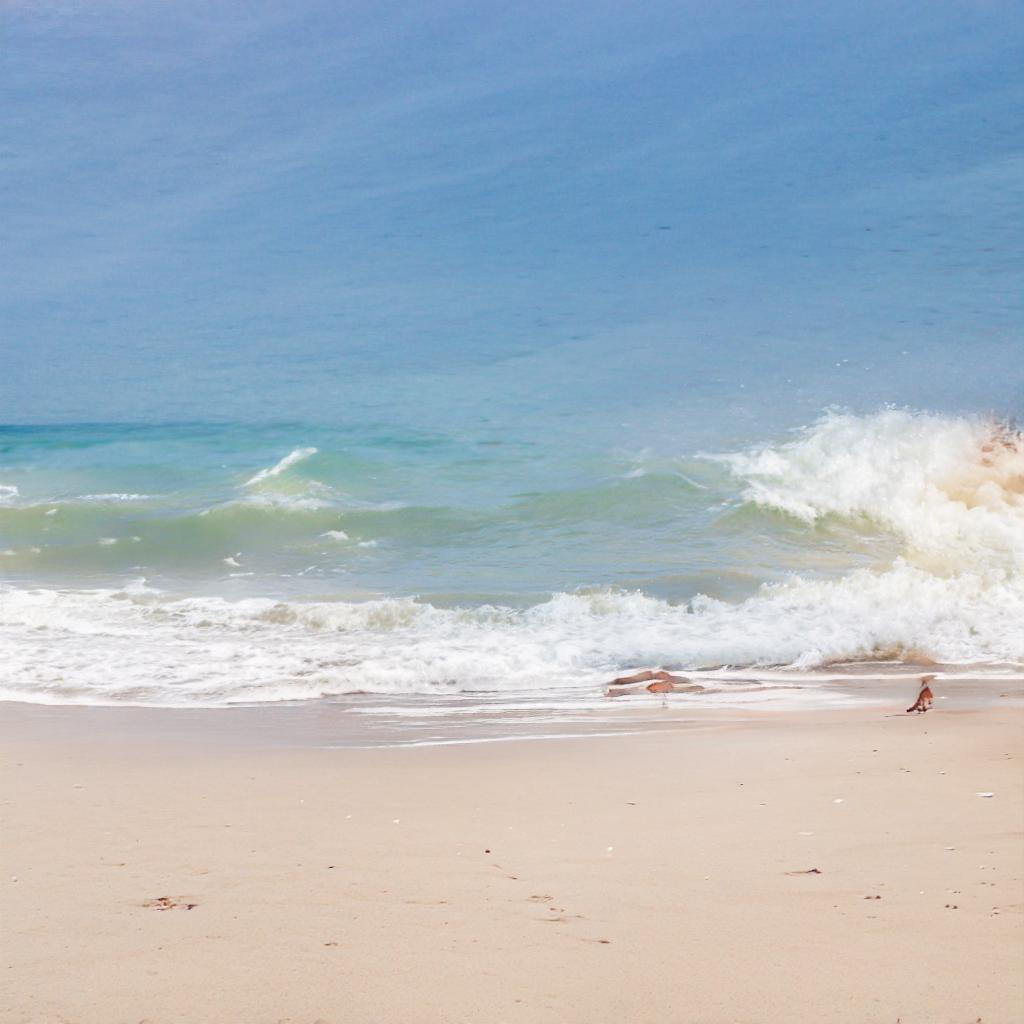 beach