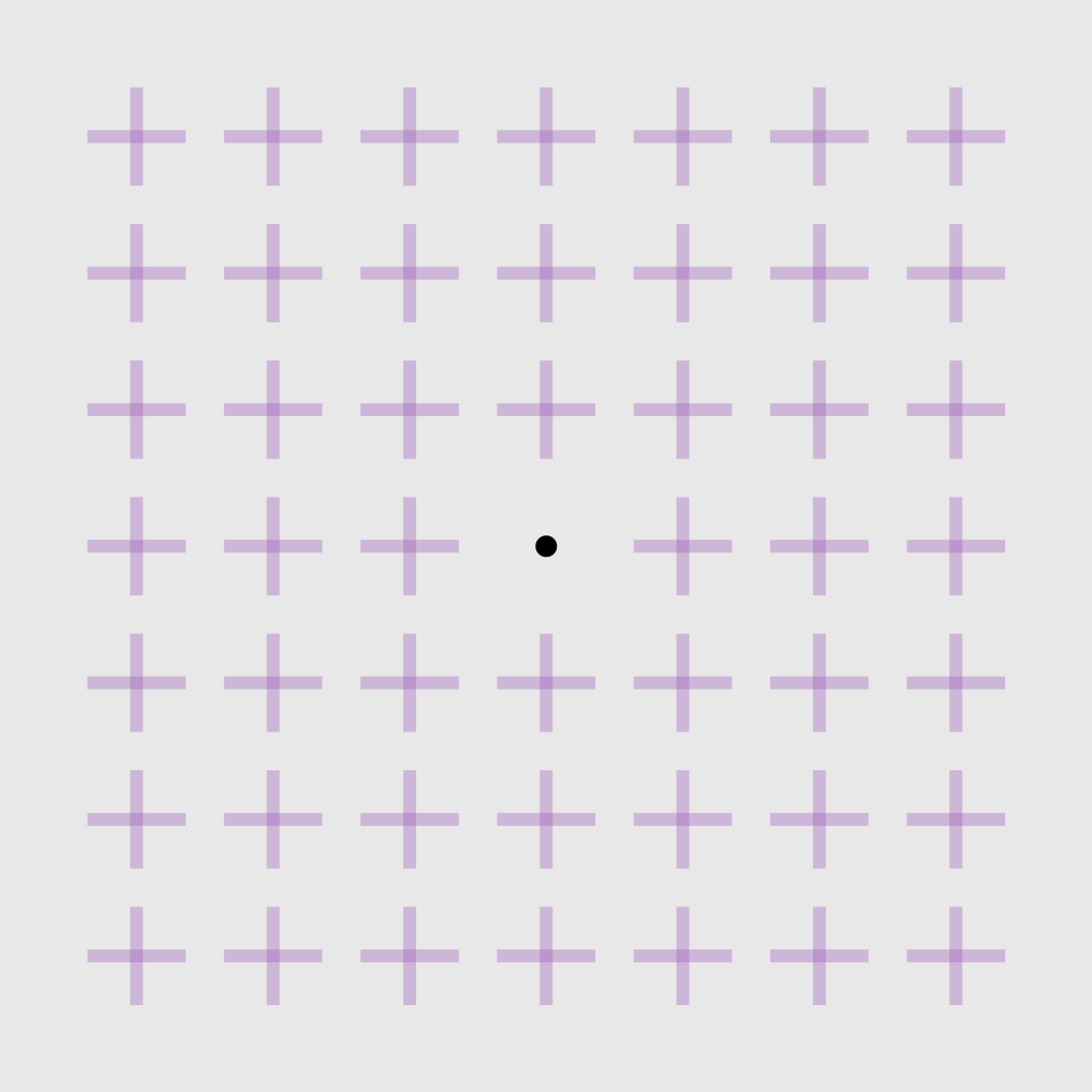 Stage 3a &mdash; Troxler's Effect grid of plus signs