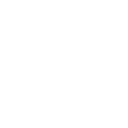 dataIcon